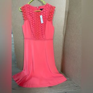 NWT Ann Taylor pink dress